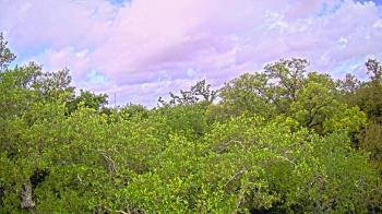 Weather camera view of Metairie Club Gardens.