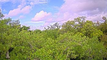 Weather camera view of Metairie Club Gardens.
