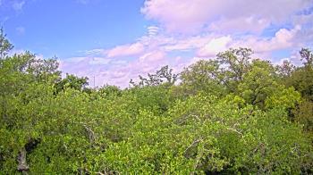 Weather camera view of Metairie Club Gardens.
