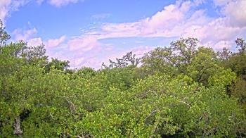 Weather camera view of Metairie Club Gardens.
