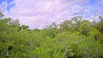 Weather camera view of Metairie Club Gardens.
