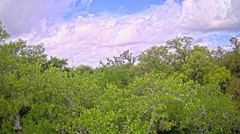 Weather camera view of Metairie Club Gardens.