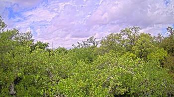 Weather camera view of Metairie Club Gardens.