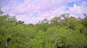 Weather camera view of Metairie Club Gardens.