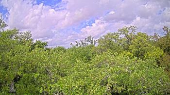 Weather camera view of Metairie Club Gardens.