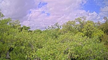 Weather camera view of Metairie Club Gardens.