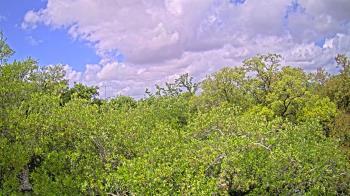 Weather camera view of Metairie Club Gardens.