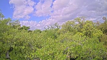 Weather camera view of Metairie Club Gardens.