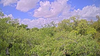 Weather camera view of Metairie Club Gardens.