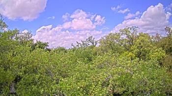 Weather camera view of Metairie Club Gardens.