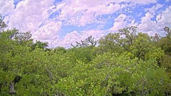 Weather camera view of Metairie Club Gardens.