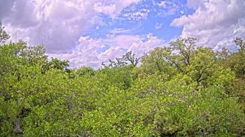 Weather camera view of Metairie Club Gardens.