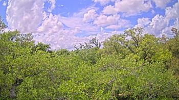 Weather camera view of Metairie Club Gardens.