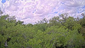 Weather camera view of Metairie Club Gardens.