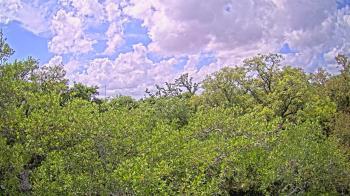 Weather camera view of Metairie Club Gardens.