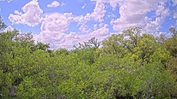Weather camera view of Metairie Club Gardens.