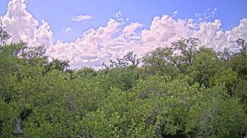 Weather camera view of Metairie Club Gardens.