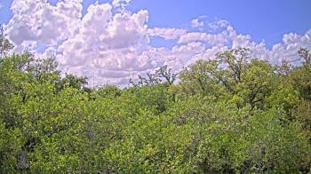 Weather camera view of Metairie Club Gardens.