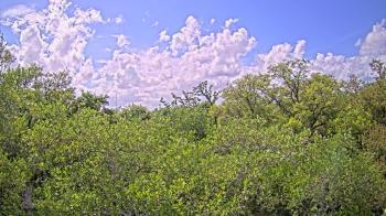 Weather camera view of Metairie Club Gardens.