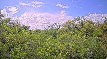 Weather camera view of Metairie Club Gardens.
