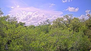 Weather camera view of Metairie Club Gardens.