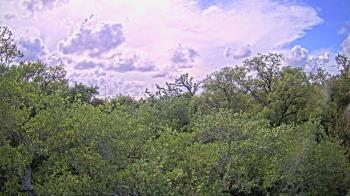 Weather camera view of Metairie Club Gardens.