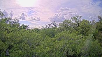 Weather camera view of Metairie Club Gardens.