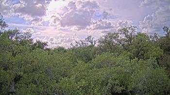 Weather camera view of Metairie Club Gardens.