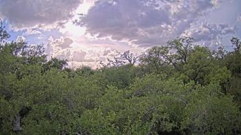Weather camera view of Metairie Club Gardens.