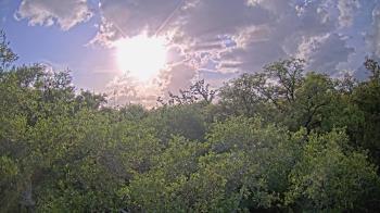 Weather camera view of Metairie Club Gardens.
