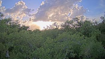 Weather camera view of Metairie Club Gardens.
