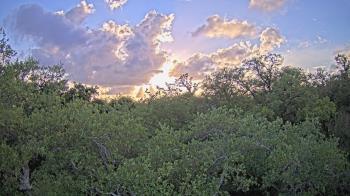 Weather camera view of Metairie Club Gardens.