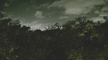 Weather camera view of Metairie Club Gardens.