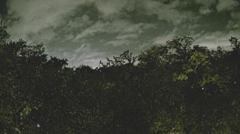 Weather camera view of Metairie Club Gardens.