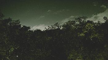 Weather camera view of Metairie Club Gardens.