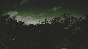 Weather camera view of Metairie Club Gardens.