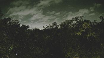 Weather camera view of Metairie Club Gardens.