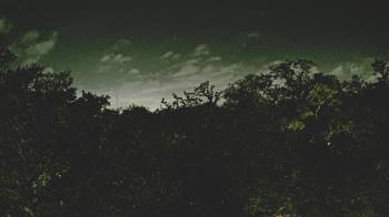 Weather camera view of Metairie Club Gardens.