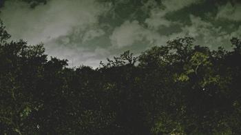 Weather camera view of Metairie Club Gardens.