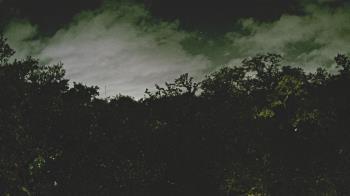 Weather camera view of Metairie Club Gardens.