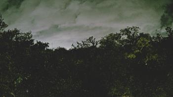 Weather camera view of Metairie Club Gardens.