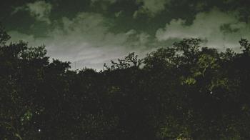 Weather camera view of Metairie Club Gardens.