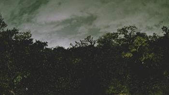 Weather camera view of Metairie Club Gardens.