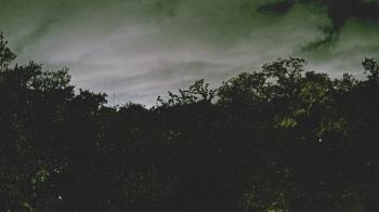 Weather camera view of Metairie Club Gardens.