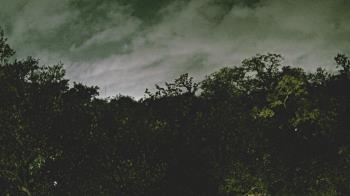 Weather camera view of Metairie Club Gardens.