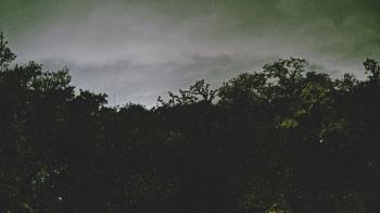 Weather camera view of Metairie Club Gardens.