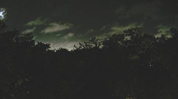 Weather camera view of Metairie Club Gardens.