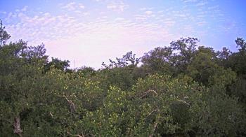 Weather camera view of Metairie Club Gardens.