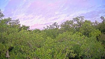Weather camera view of Metairie Club Gardens.
