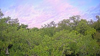 Weather camera view of Metairie Club Gardens.